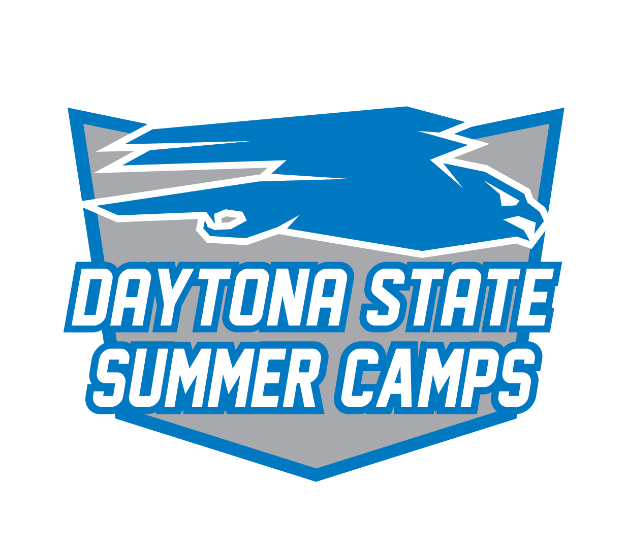 DSC summer camps logo. 