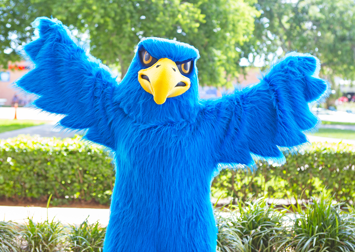 DSC's mascot, Freddie Falcon!